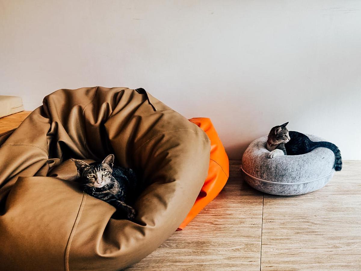 Paknap Hostel Нан Екстериор снимка